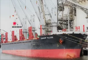 MV DANSHIP BULKER